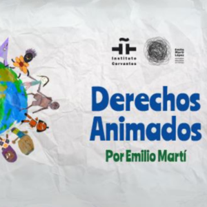 Workshop stop-motion: “Derechos Animados”